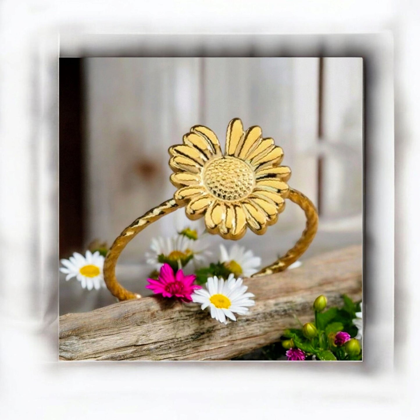 Daisy-Bloom