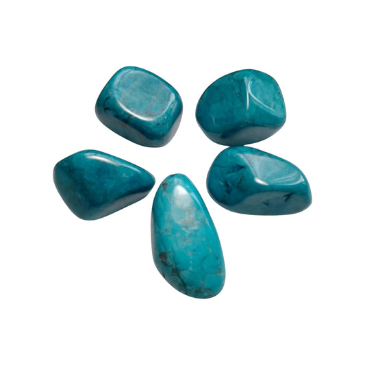 Turquoise Howlite